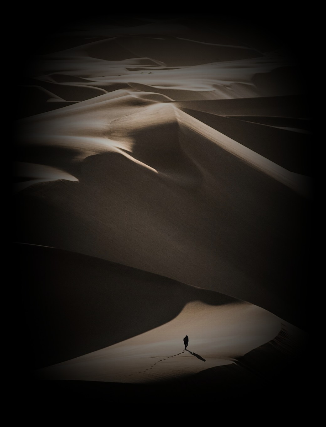 dan-grinwis-396674-unsplash