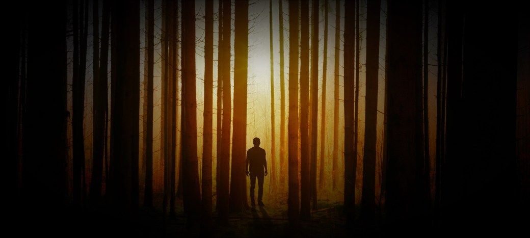 johannes-plenio-629983-unsplash