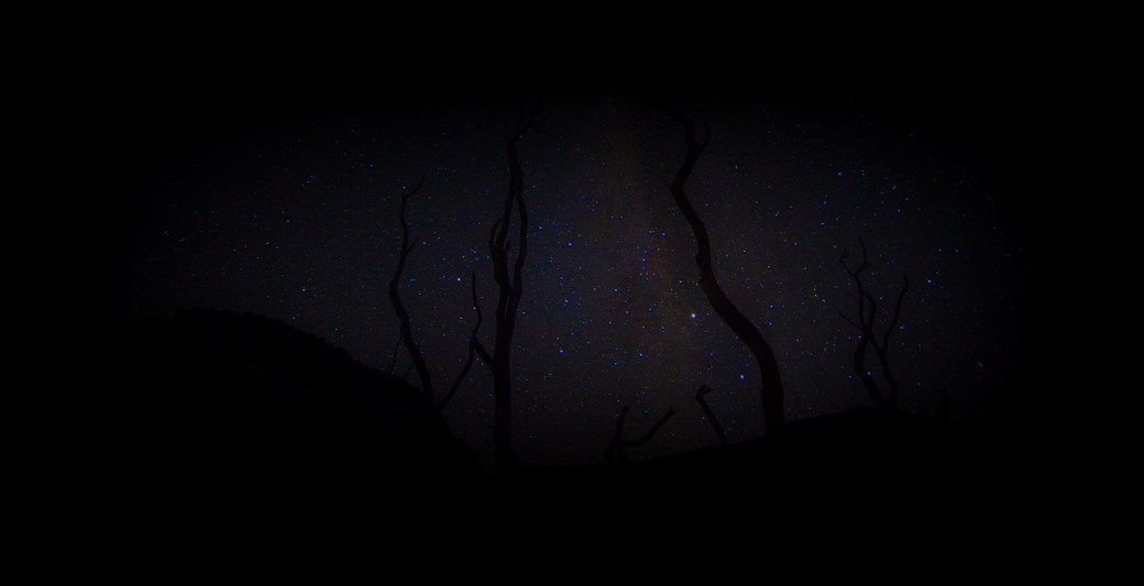 dikaseva-34875-unsplash