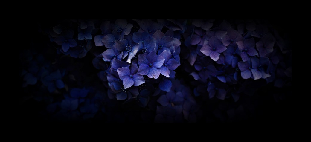 gaetano-cessati-126246-unsplash