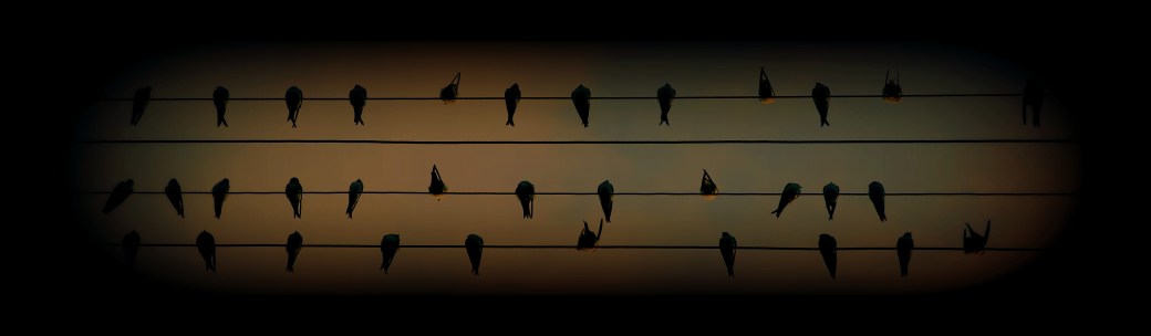 slava-bowman-161209-unsplash