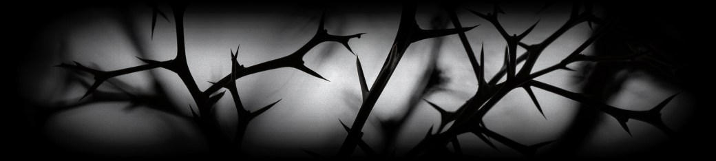 andrey-grinkevich-366006-unsplash